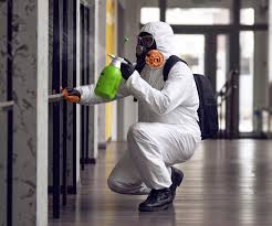 Best Asbestos and Lead Testing During Mold Inspection in USA